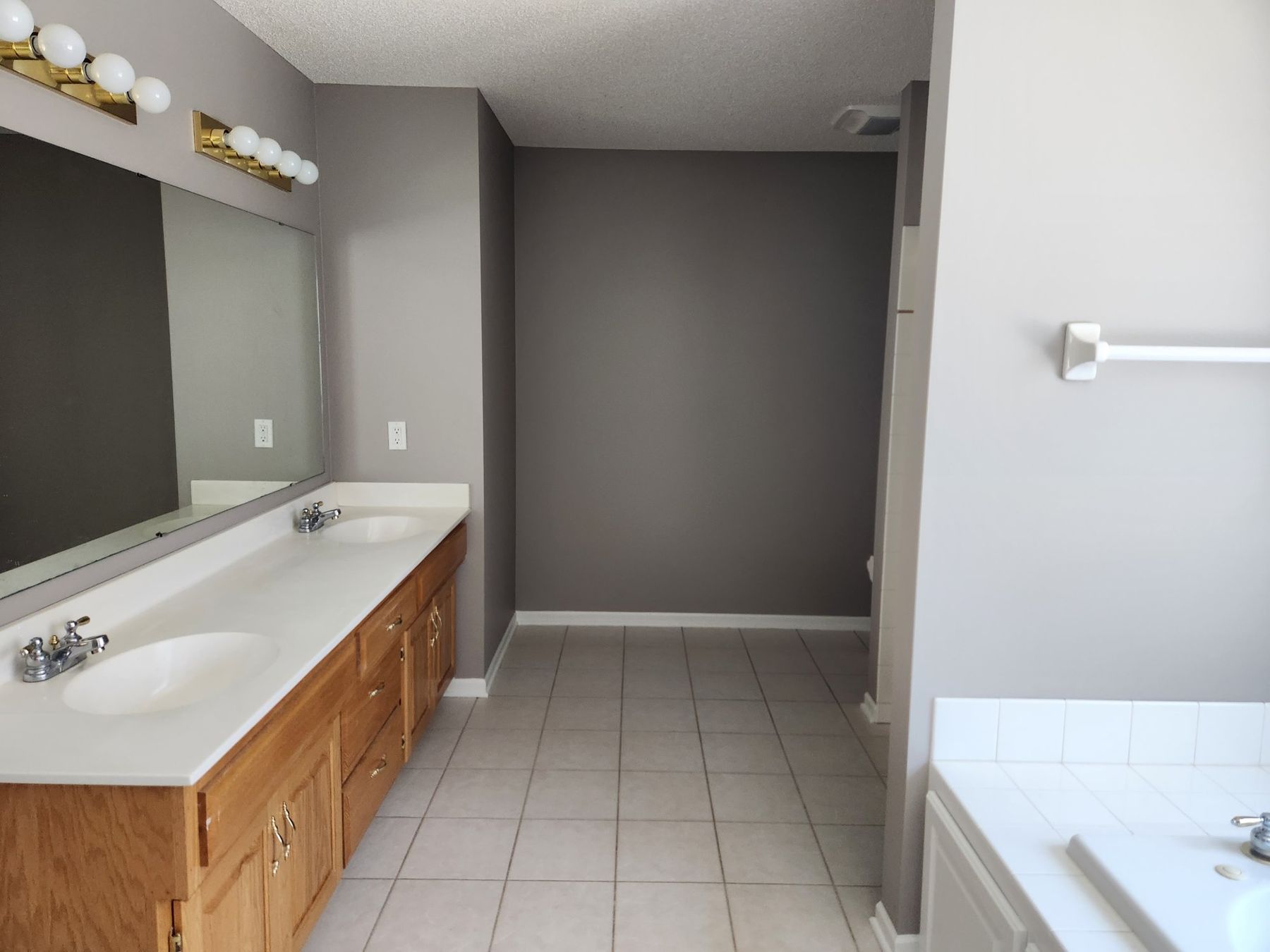 Primary bath vanity wall in light gray